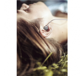 ACME HE21G Earphones With Mic
